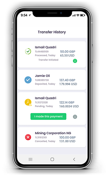Golden Knot Money Transfer Service